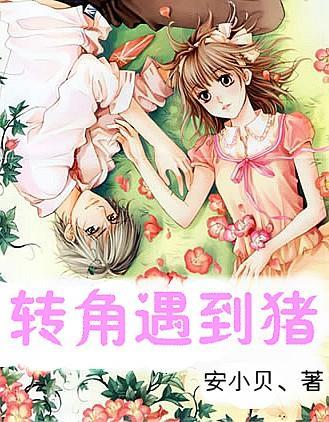 实干有为书写精彩履职答卷