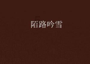 解散第3天,大连人28将去向浮现:1人退役,11人留中超,13人中甲